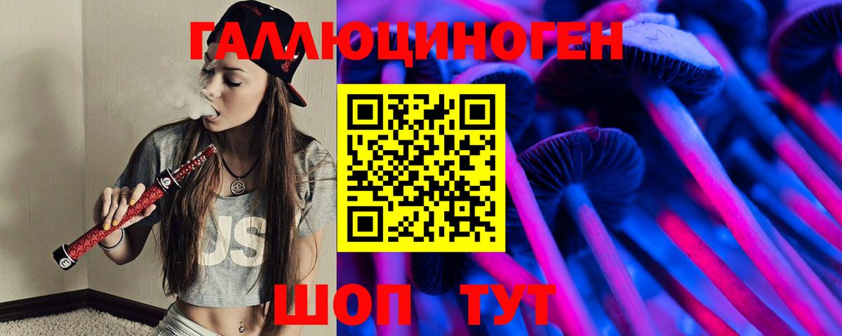 Псилоцибиновые грибы Psilocybine cubensis Карачаевск