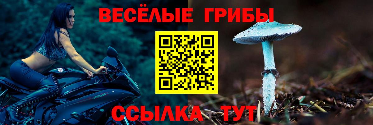 Карачаевск  Галлюциногенные грибы мухоморы  Вход с VPN  Галлюциногенные грибы прущие грибы 